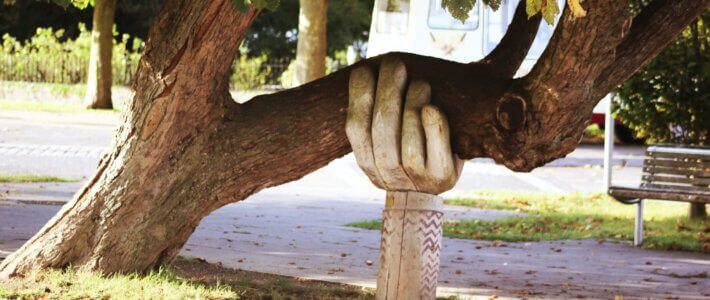 ein alter Baum mit Unterstützung