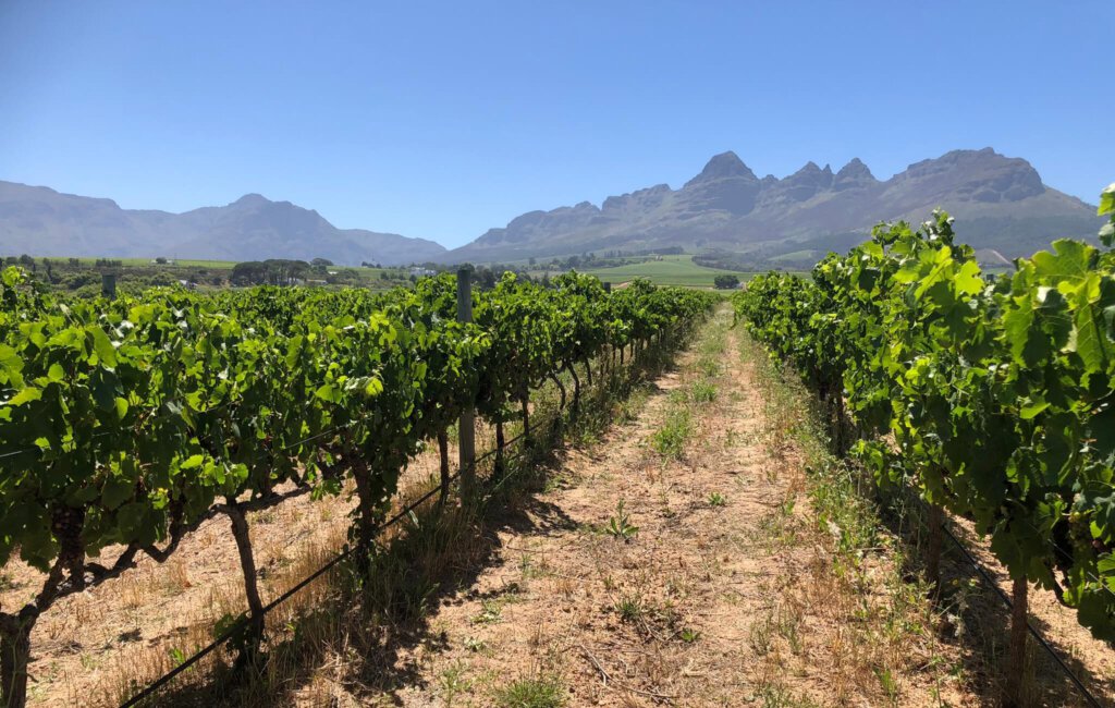 Weingut Eikendal in Südafrika