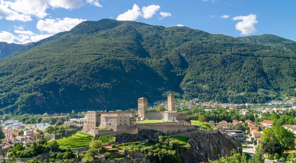 Die Festung von Bellinzona mit Weinbergen