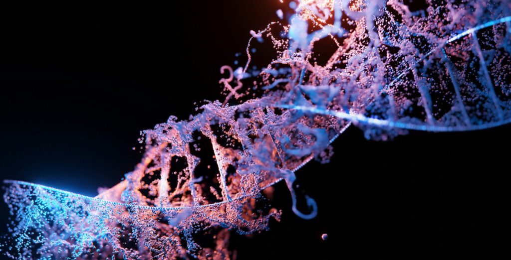Eine DNA veranschaulicht