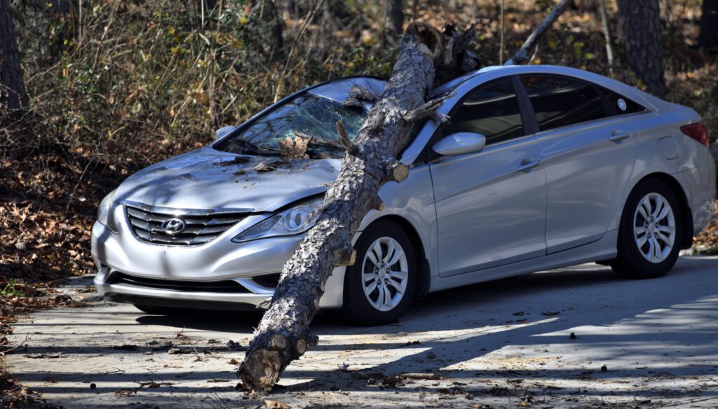 Ein Baum beschädigt ein Auto