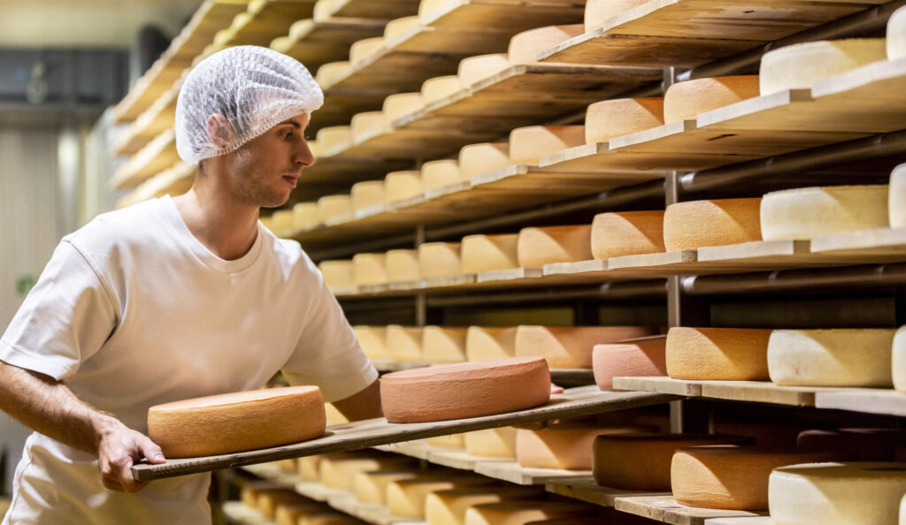 Produktion von Bündner Bergkäse im Oberengadin