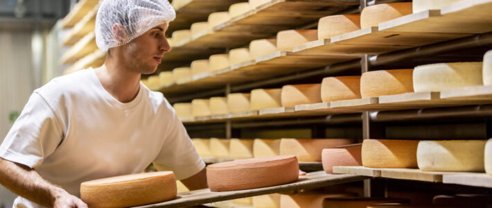 Produktion von Bündner Bergkäse im Oberengadin