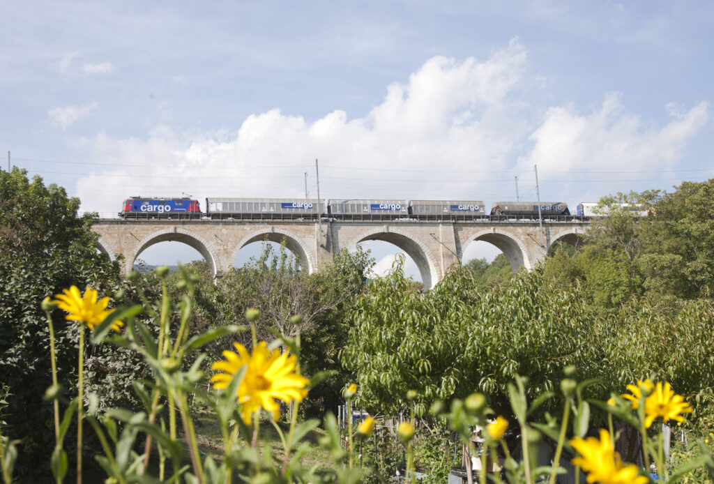 Ein Zug der SBB Cargo auf einer Brücke