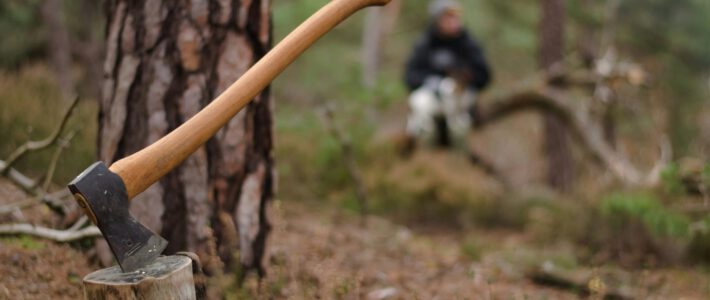 Ein Förster im Wald mit einer Axt in einem Baumstumpf