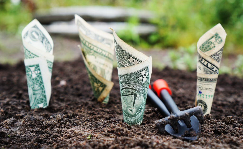 Dollarscheine in Erde, die Wachstum von Investitionen symbolisieren sollen