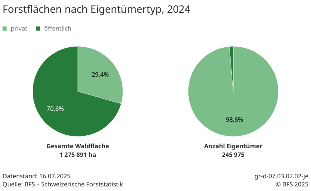 Forstflächen nach Eigentümertyp gemäss BFS