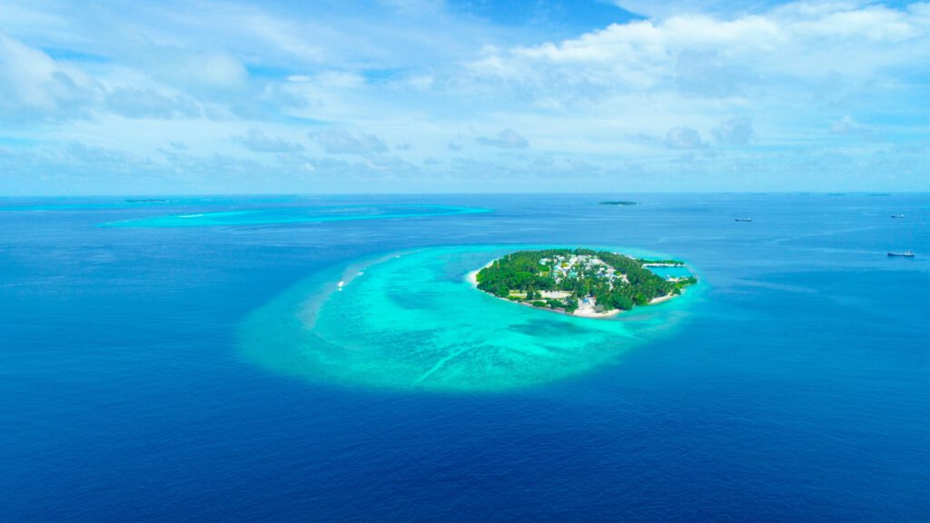 An Island in the Sea