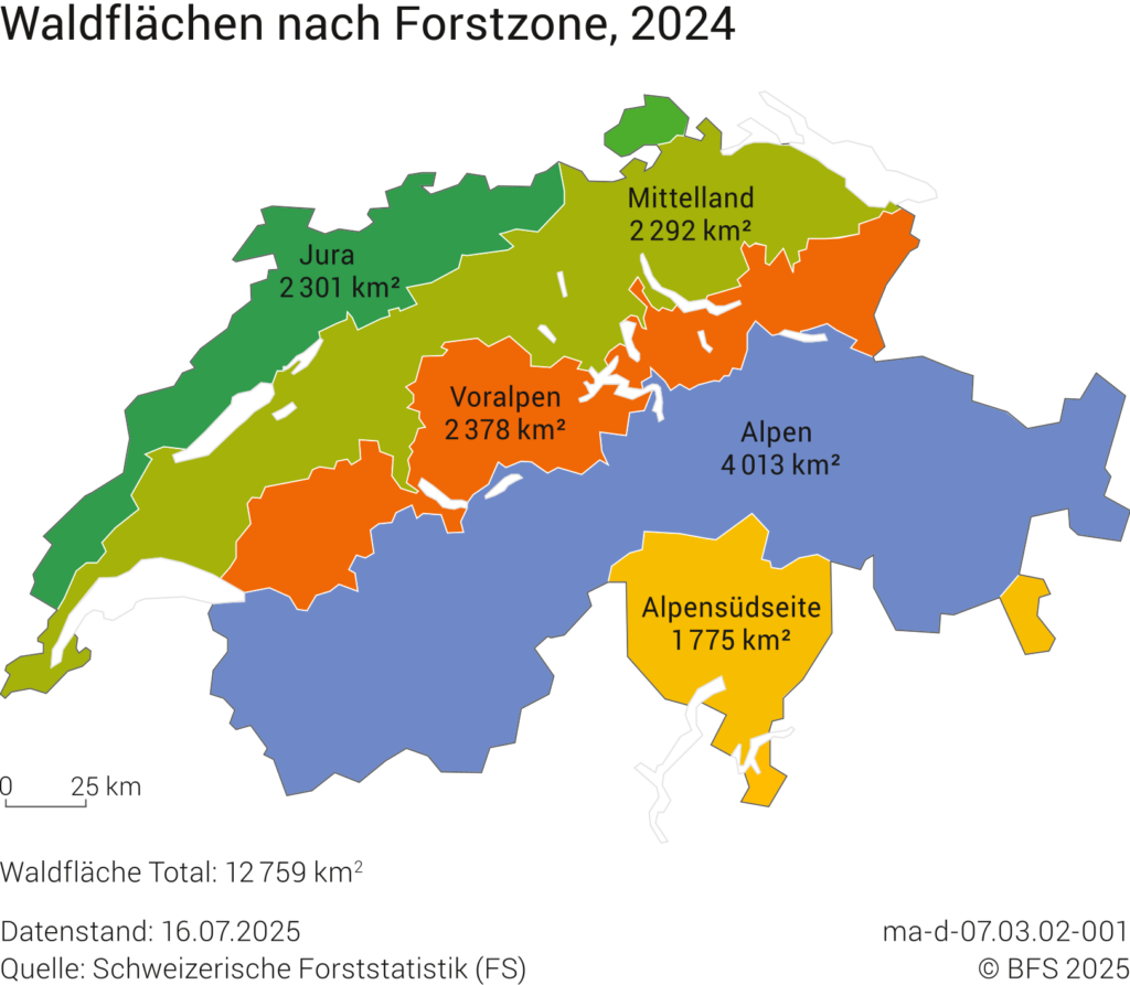 Waldflächen in der Schweiz laut BFS