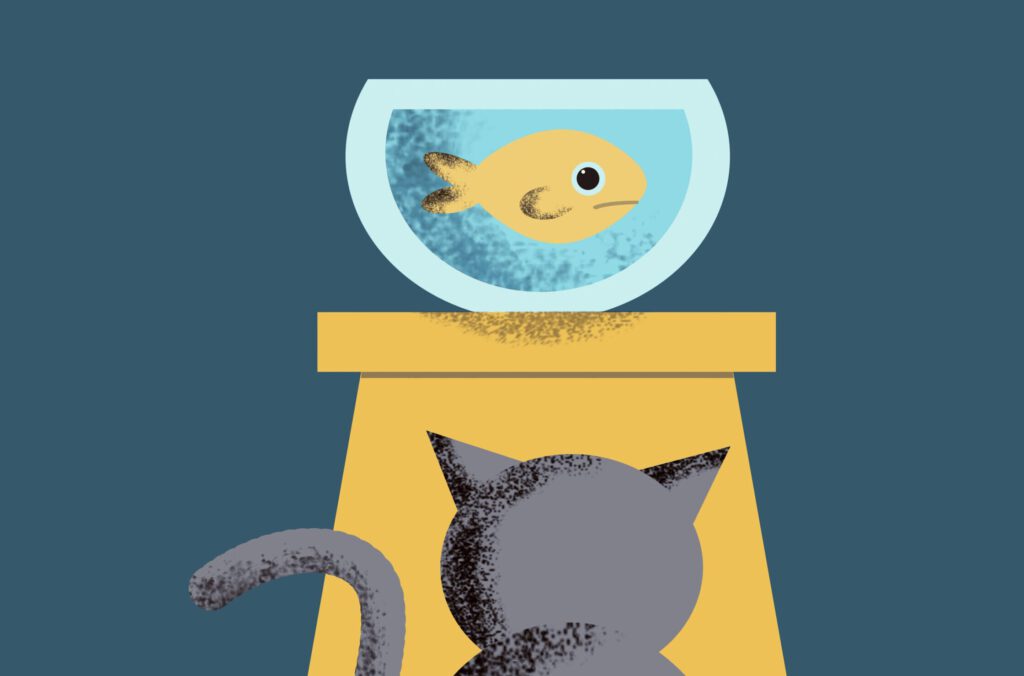 Ein Fisch in einem Aquarium und eine Katze davor