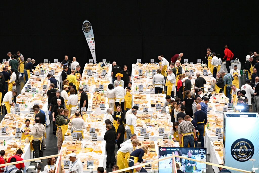 Tausende Käse an den World Cheese Awards 2025 in Bern