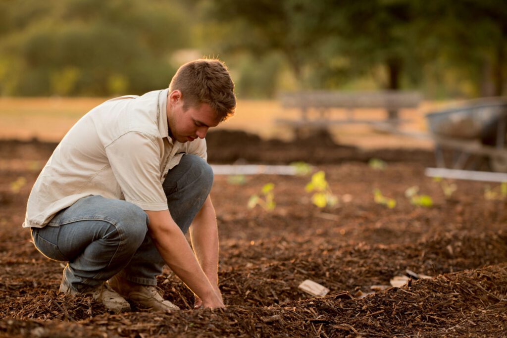 Ein Arbeiter auf einem Feld
