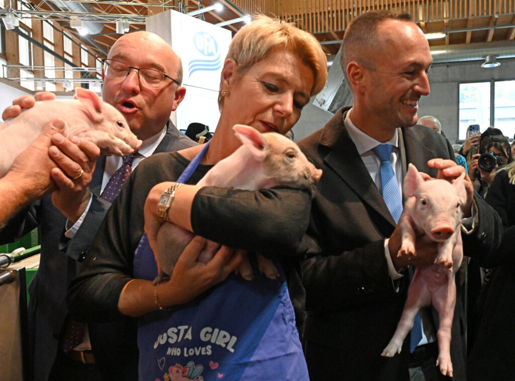 Karin Keller-Sutter an der Olma mit einem Schwein auf dem Arm