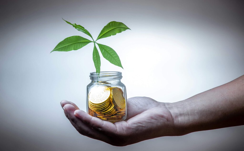 Ein Glas mit Goldmünzen und einer Grünpflanze auf einer Hand