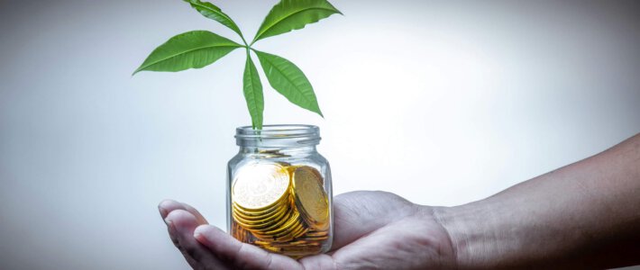 Frauen bauen rasant Milliardenvermögen auf Ein Glas mit Goldmünzen und einer Grünpflanze auf einer Hand