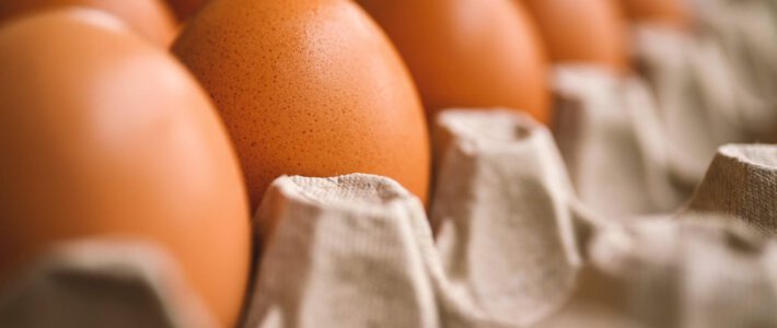 Eier in einer Packung