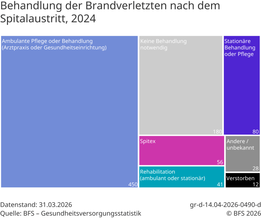 Statistik zur Situation von Brandopfern nach Spitalaustritt im Jahr 2024