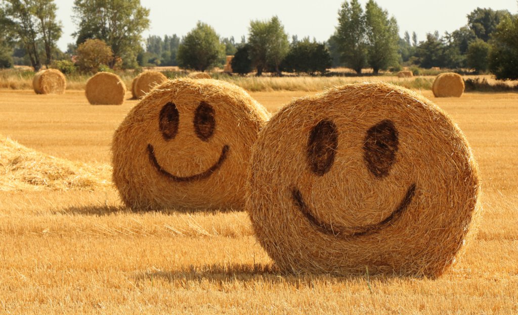 Strohballen auf einem Feld mit Smiley-Gesichtern