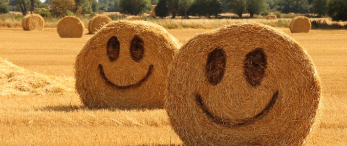 Schweizer Konsumenten werden noch zuversichtlicher Strohballen auf einem Feld mit Smiley-Gesichtern