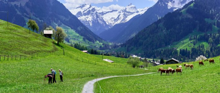 Blick auf Gstaad im Berner Oberland