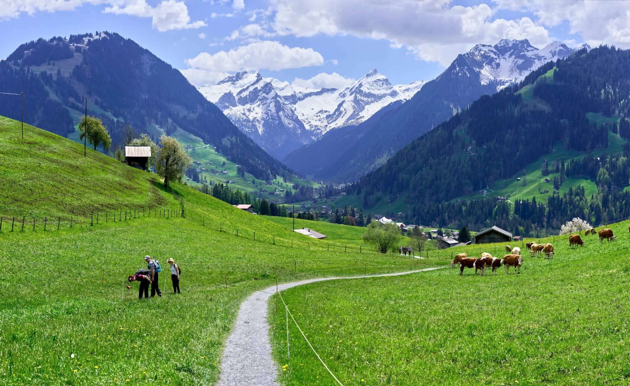 Blick auf Gstaad im Berner Oberland