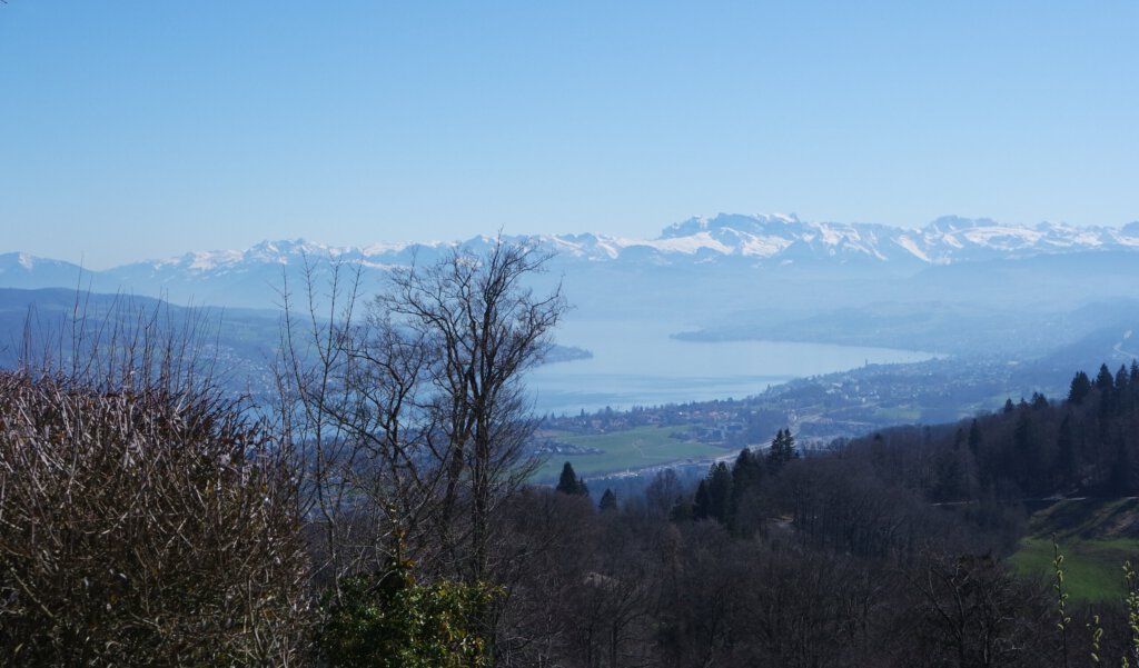 Blick über Zürich und den Zürichsee