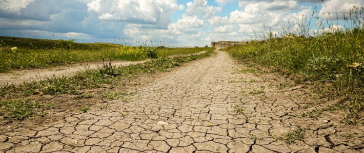 Ein trockener Weg auf einem Feld