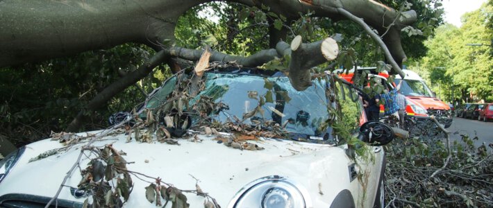 Unwetter fegen über die Schweiz hinweg Ein umgekippter Baum auf einem Luxusfahrzeug