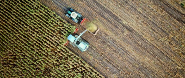Schweizer Bauern flehen um Auslandshilfe Ein Feld mit Erntemaschinen von oben