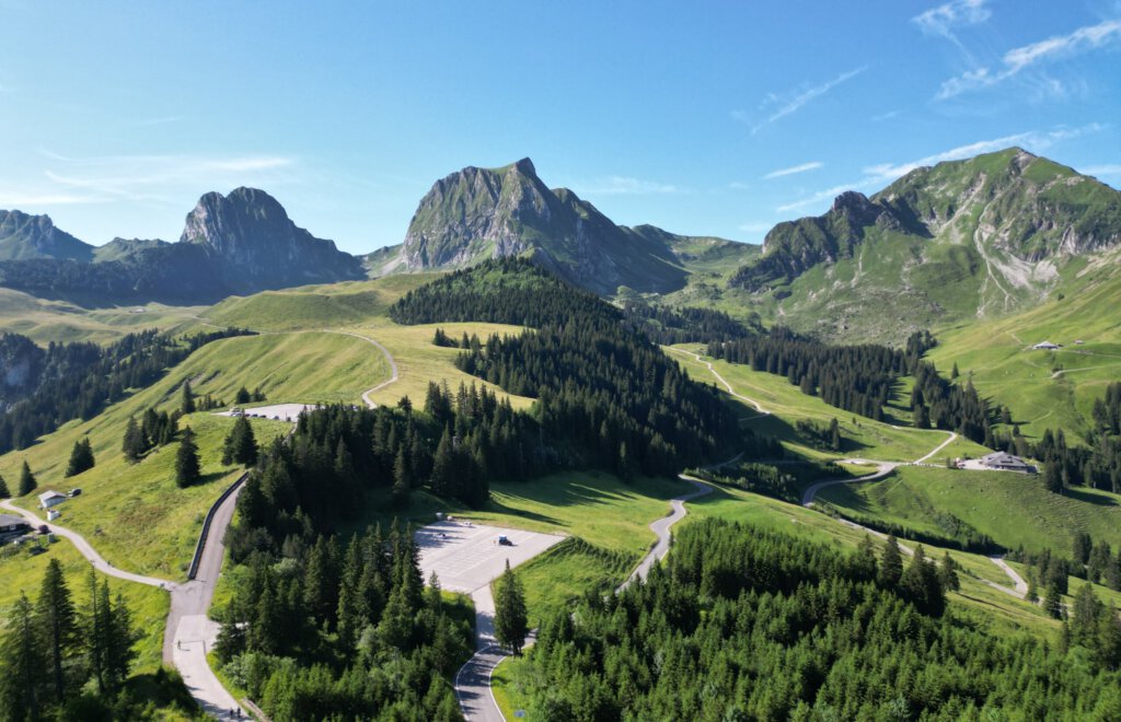 Wälder in den Alpen