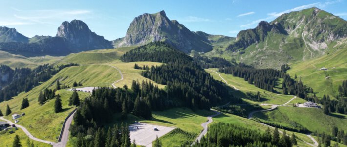 Mehr Wald in der Schweiz Wälder in den Alpen